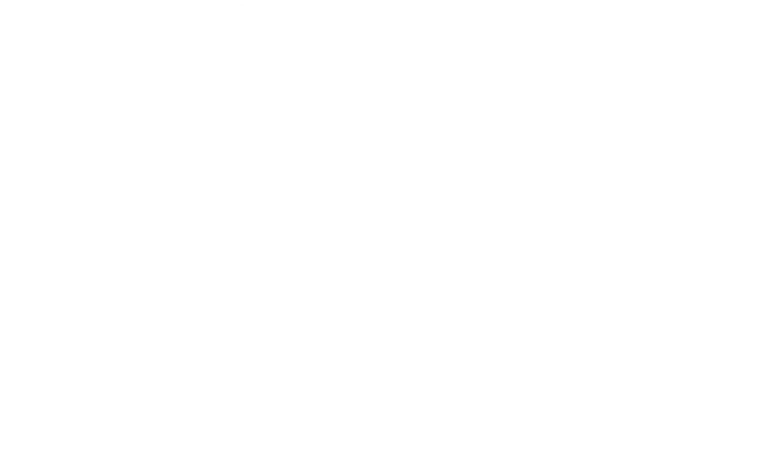 circle-chart circle-chart